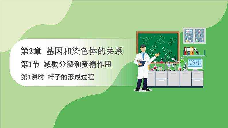 人教版高中生物必修第二册 遗传与进化 第2章 第1节 第1课时 精子的形成过程(课件)01