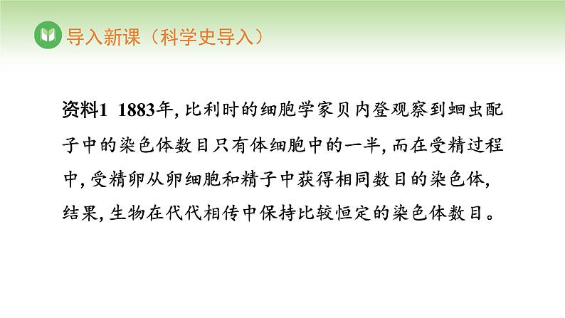 人教版高中生物必修第二册 遗传与进化 第2章 第1节 第1课时 精子的形成过程(课件)04