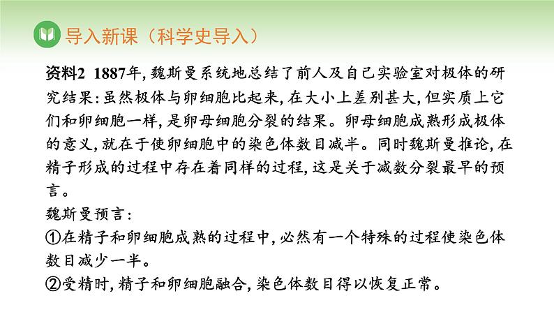 人教版高中生物必修第二册 遗传与进化 第2章 第1节 第1课时 精子的形成过程(课件)05
