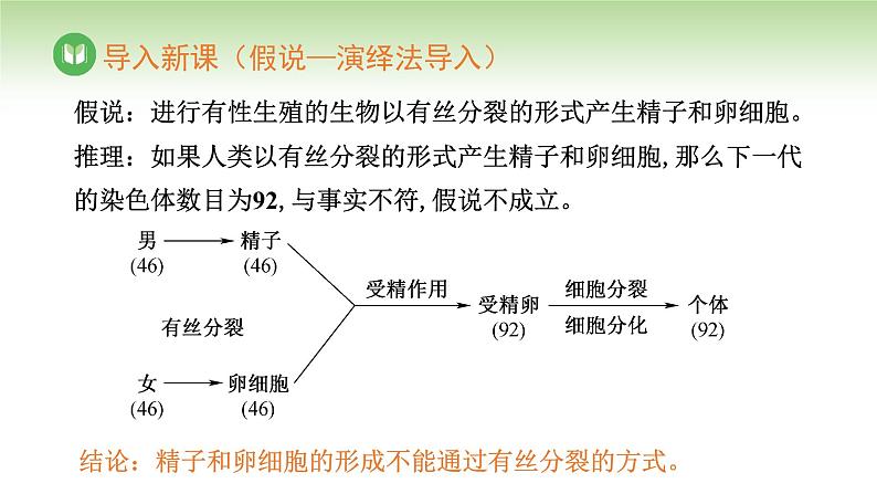 人教版高中生物必修第二册 遗传与进化 第2章 第1节 第1课时 精子的形成过程(课件)07