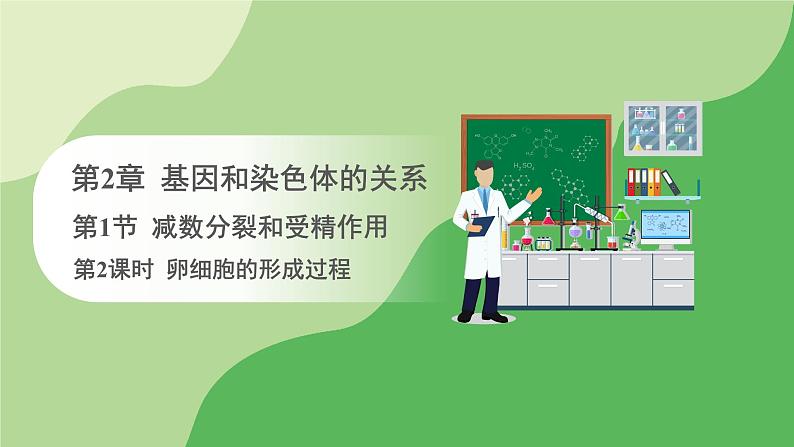 人教版高中生物必修第二册 遗传与进化 第2章 第1节 第2课时 卵细胞的形成过程(课件)第1页