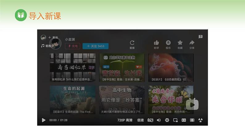 人教版高中生物必修第二册 遗传与进化 第2章 第1节 第2课时 卵细胞的形成过程(课件)第2页
