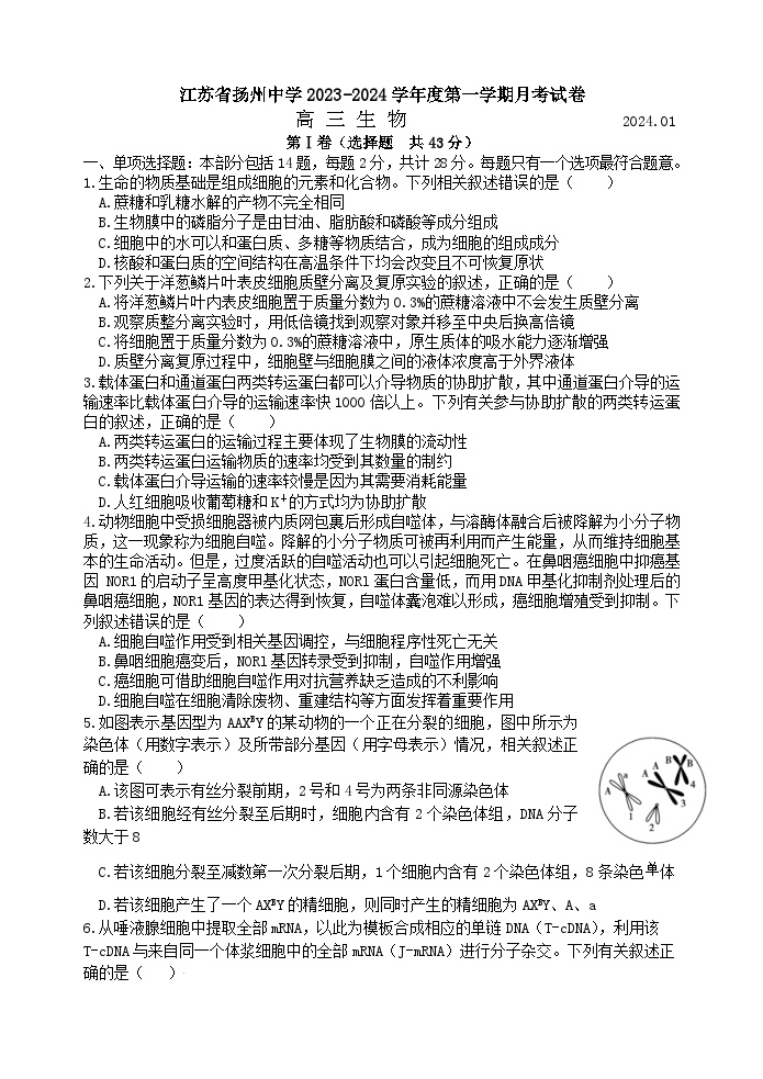 江苏省扬州中学2023-2024学年高三上学期1月月考生物试题