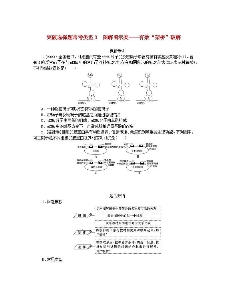 统考版2024高考生物二轮专题复习一6+4+12=11之6道选择题专项突破突破选择题常考类型3图解图示类__有效“架桥”破解01