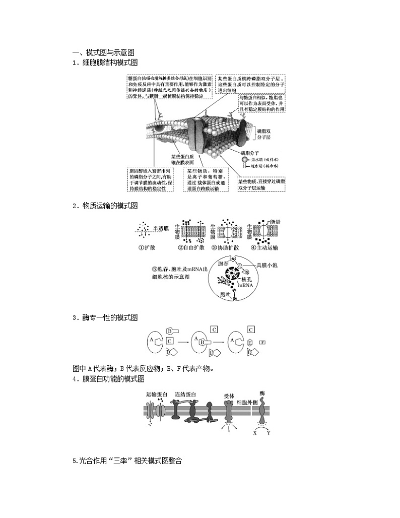 统考版2024高考生物二轮专题复习一6+4+12=11之6道选择题专项突破突破选择题常考类型3图解图示类__有效“架桥”破解02