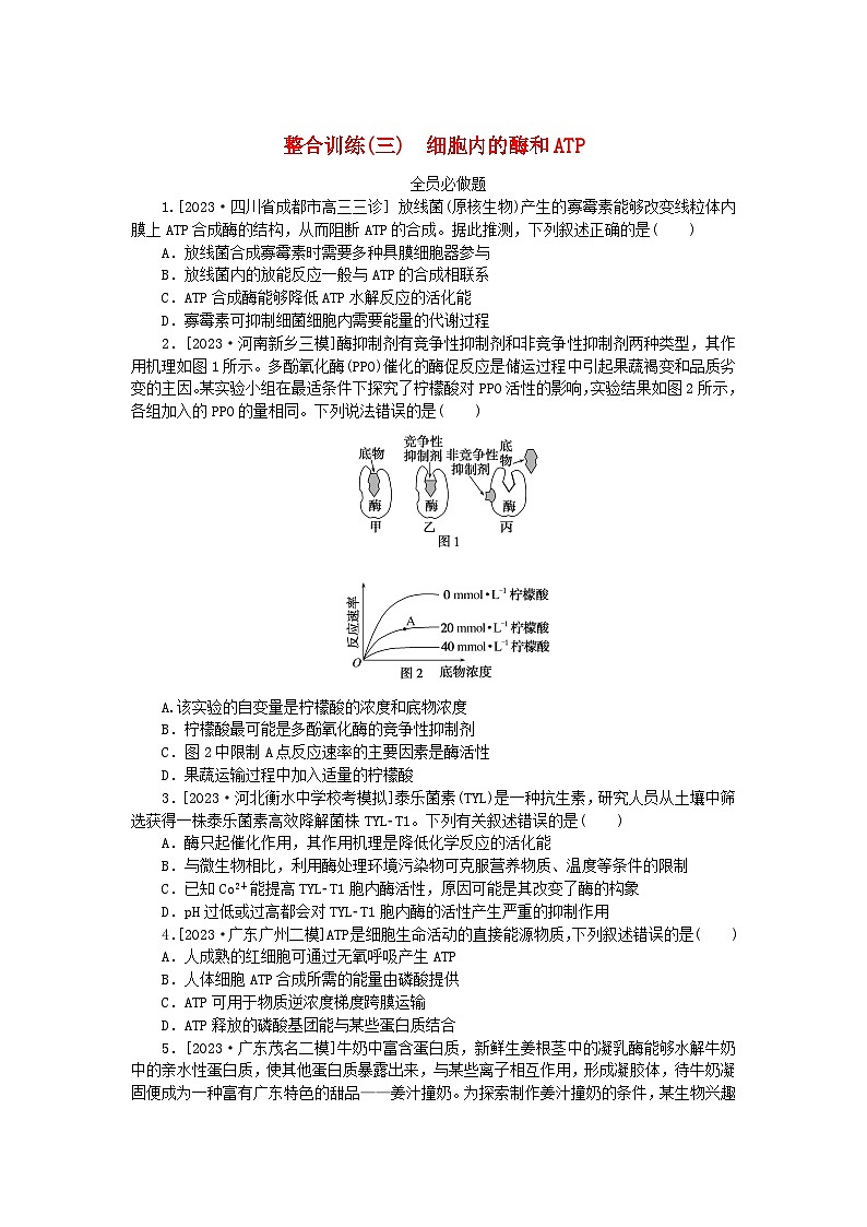 统考版2024高考生物二轮专题复习整合训练3细胞内的酶和ATP第1页