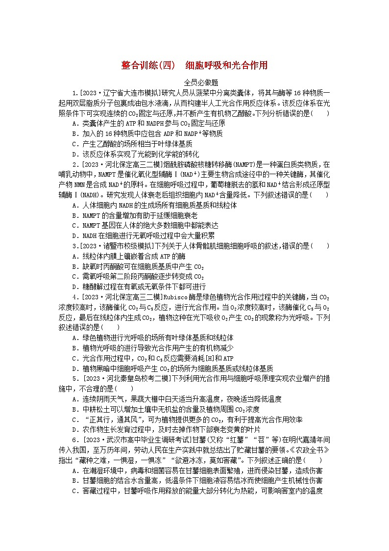 统考版2024高考生物二轮专题复习整合训练4细胞呼吸和光合作用01