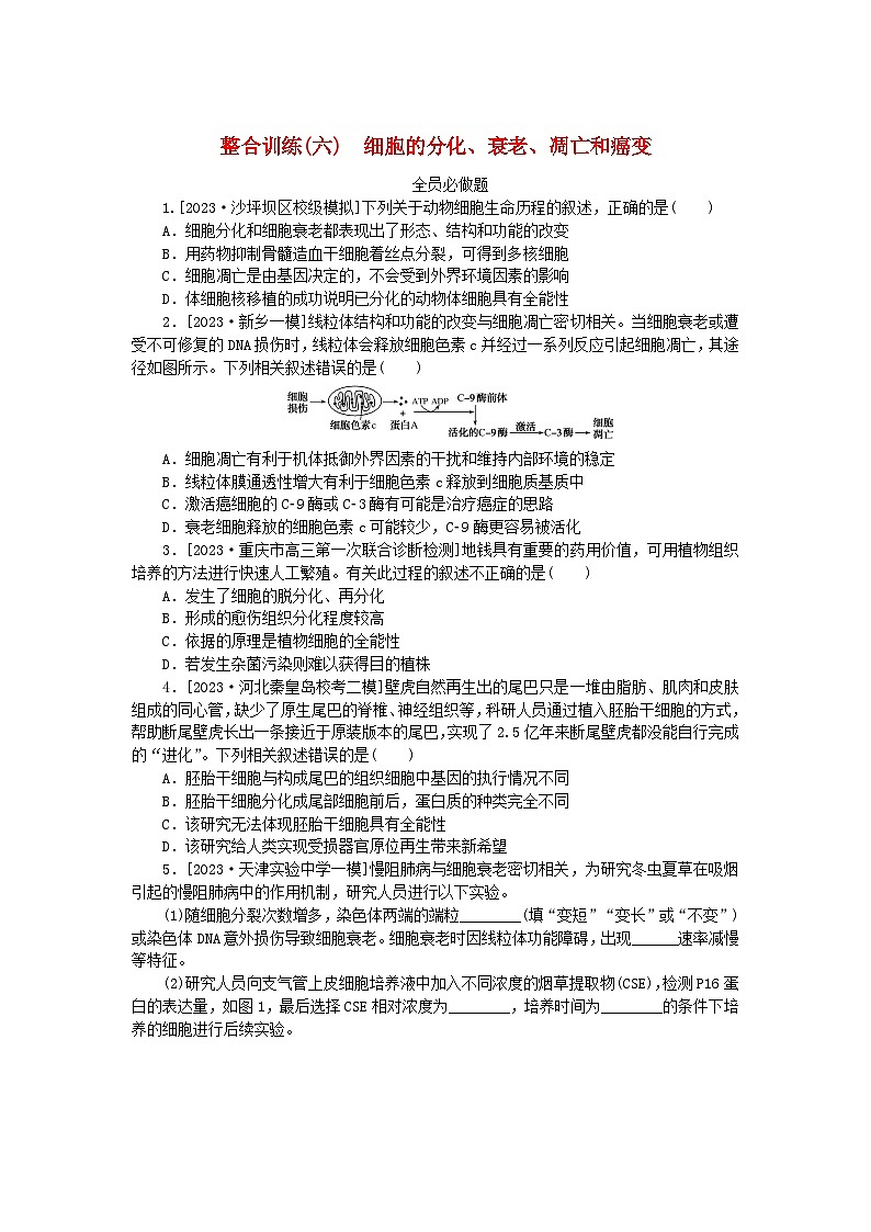 统考版2024高考生物二轮专题复习整合训练6细胞的分化衰老凋亡和癌变第1页