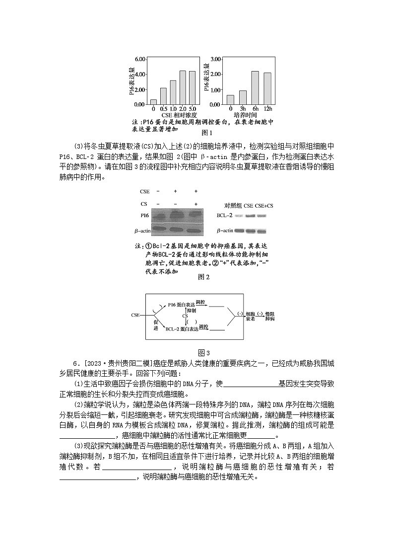 统考版2024高考生物二轮专题复习整合训练6细胞的分化衰老凋亡和癌变第2页