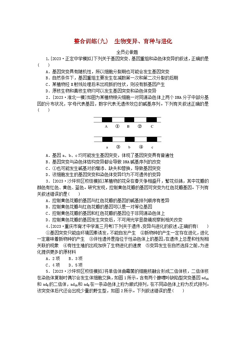 统考版2024高考生物二轮专题复习整合训练9生物变异育种与进化01