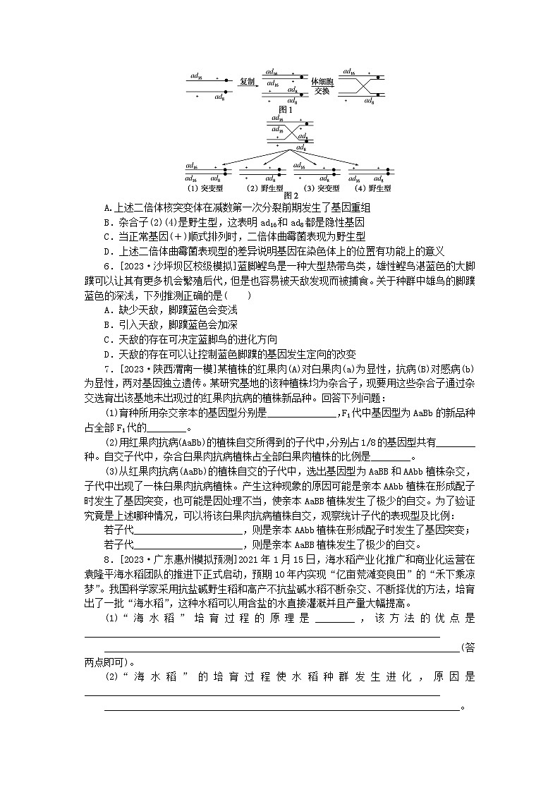 统考版2024高考生物二轮专题复习整合训练9生物变异育种与进化02