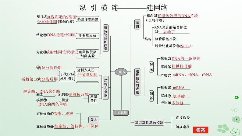 统考版2024高考生物二轮专题复习专题四生命系统的遗传变异育种与进化第1讲遗传的分子基础课件05