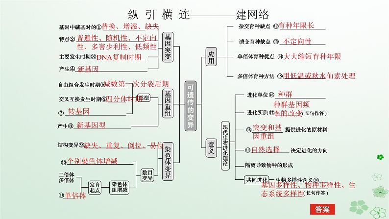 统考版2024高考生物二轮专题复习专题四生命系统的遗传变异育种与进化第3讲生物变异育种与进化课件05