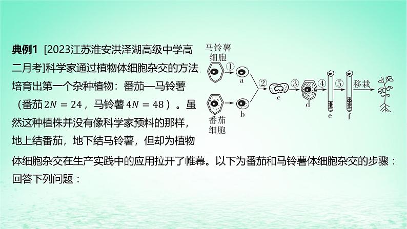 江苏专版2023_2024学年新教材高中生物第二章细胞工程微专题植物细胞工程和动物细胞工程的综合考查课件苏教版选择性必修3第5页