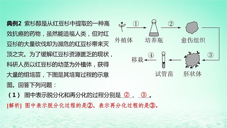 江苏专版2023_2024学年新教材高中生物第二章细胞工程微专题植物细胞工程和动物细胞工程的综合考查课件苏教版选择性必修3第8页