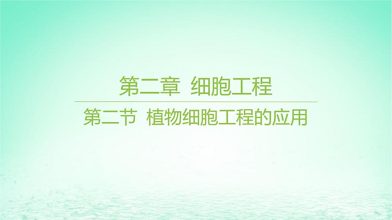 江苏专版2023_2024学年新教材高中生物第二章细胞工程第二节植物细胞工程的应用课件苏教版选择性必修301