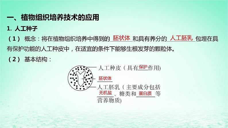 江苏专版2023_2024学年新教材高中生物第二章细胞工程第二节植物细胞工程的应用课件苏教版选择性必修305