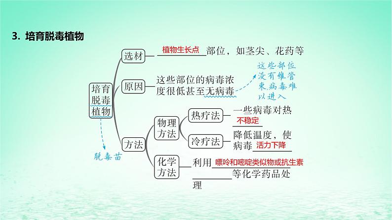 江苏专版2023_2024学年新教材高中生物第二章细胞工程第二节植物细胞工程的应用课件苏教版选择性必修308