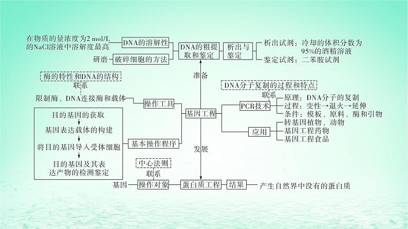 江苏专版2023_2024学年新教材高中生物第三章基因工程本章知识网络课件苏教版选择性必修3第4页