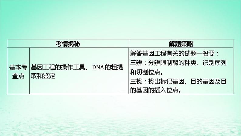 江苏专版2023_2024学年新教材高中生物第三章基因工程本章知识网络课件苏教版选择性必修3第6页
