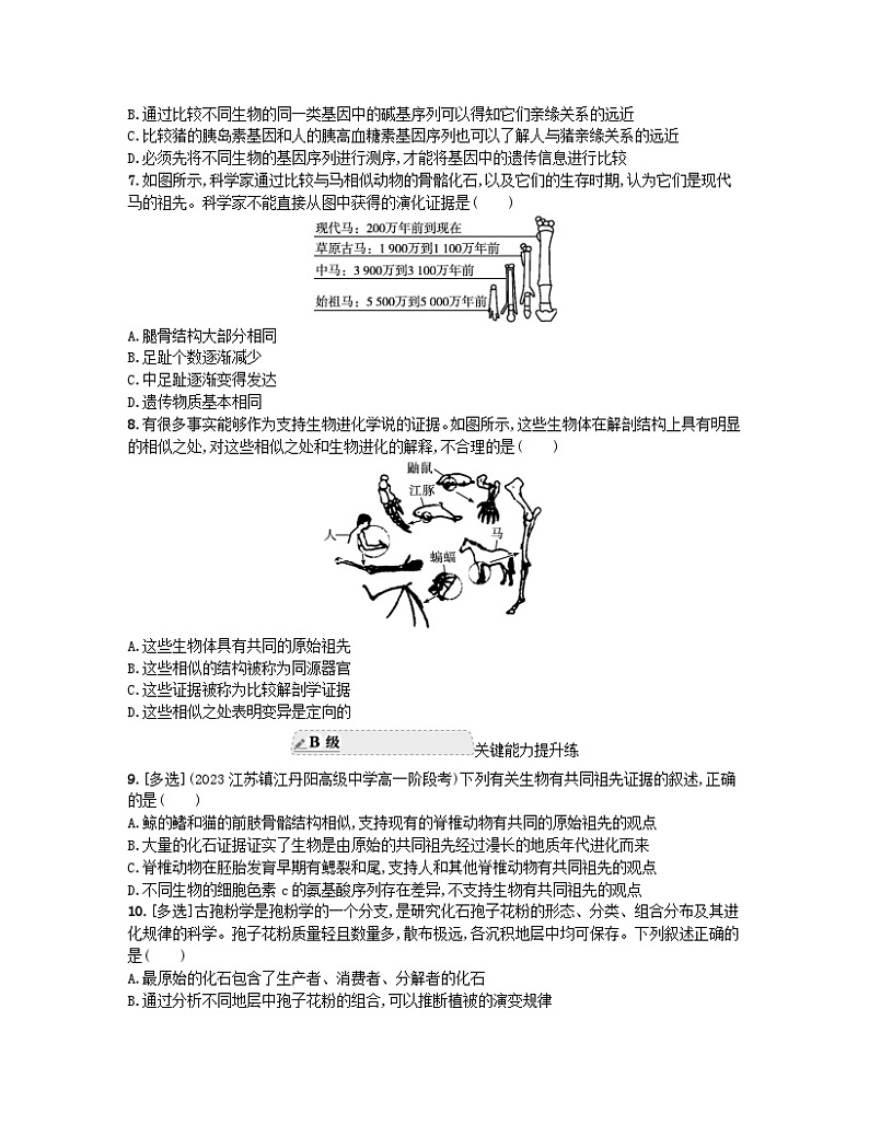 江苏专版2023_2024学年新教材高中生物第6章生物的进化第1节生物有共同祖先的证据分层作业新人教版必修202