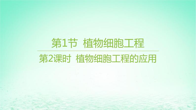 江苏专版2023_2024学年新教材高中生物第2章细胞工程第1节植物细胞工程第2课时植物细胞工程的应用课件新人教版选择性必修3第1页