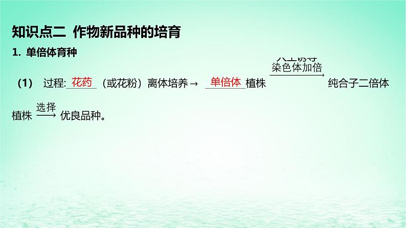 江苏专版2023_2024学年新教材高中生物第2章细胞工程第1节植物细胞工程第2课时植物细胞工程的应用课件新人教版选择性必修3第7页