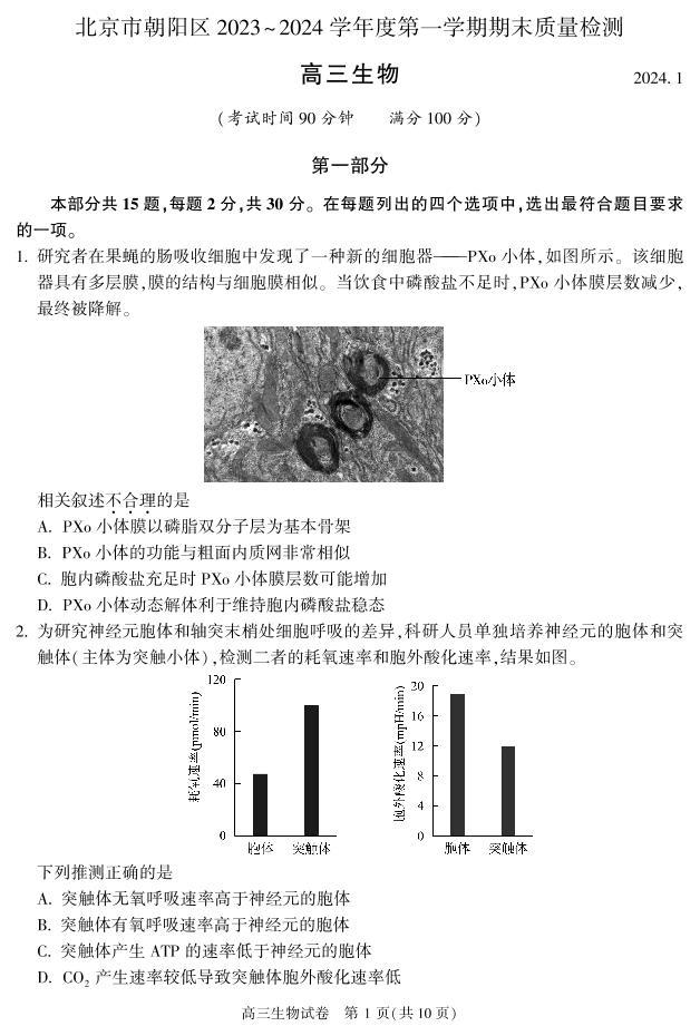 2024北京朝阳高三（上）期末生物试题及答案01