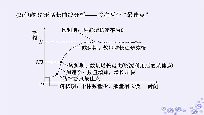 新教材2023版高中生物第1章种群及其动态专项培优课件新人教版选择性必修2第8页