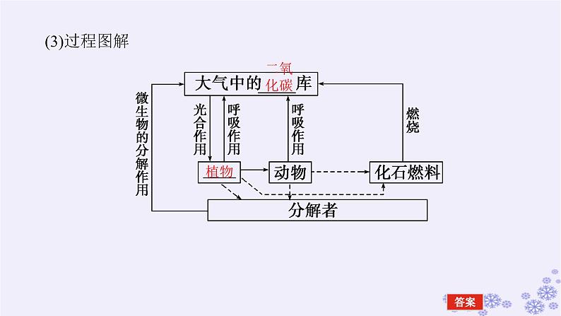 新教材2023版高中生物第3章生态系统及其稳定性第3节生态系统的物质循环课件新人教版选择性必修2第5页