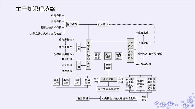 新教材2023版高中生物第4章人与环境专项培优课件新人教版选择性必修202