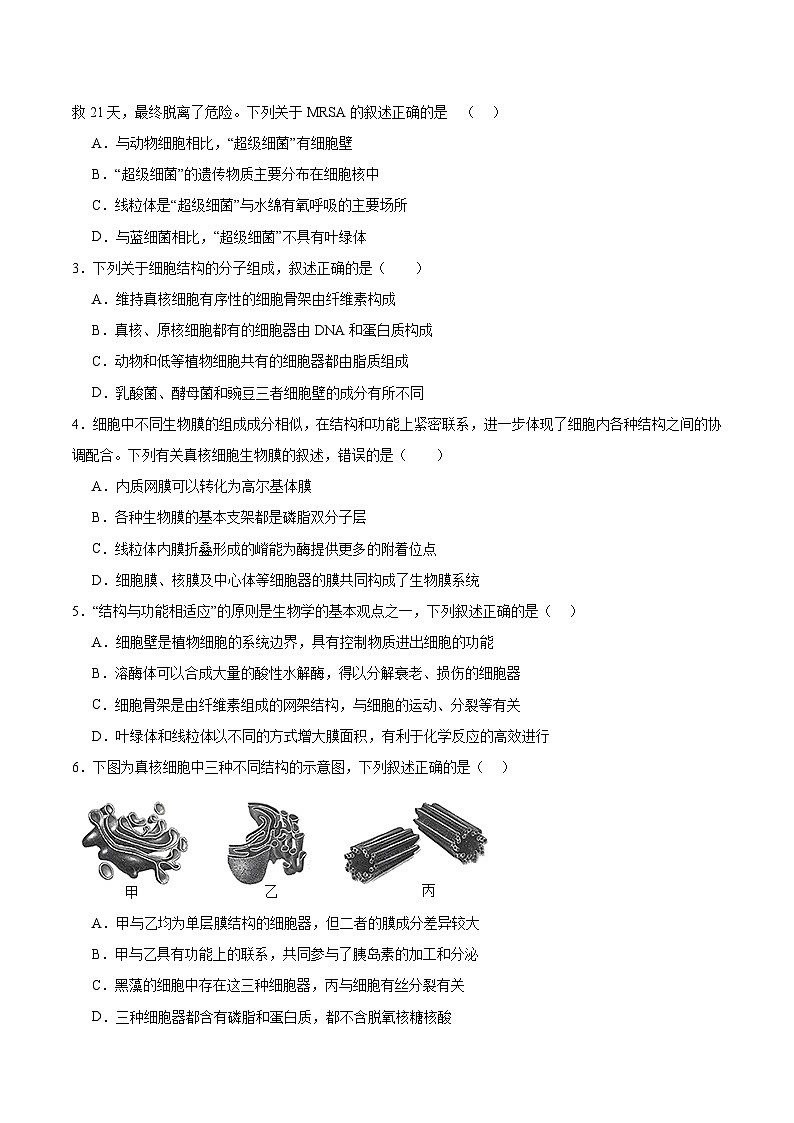 考点通关卷06 细胞器和生物膜系统-备战2024年高考生物一轮复习精品高效导与练02