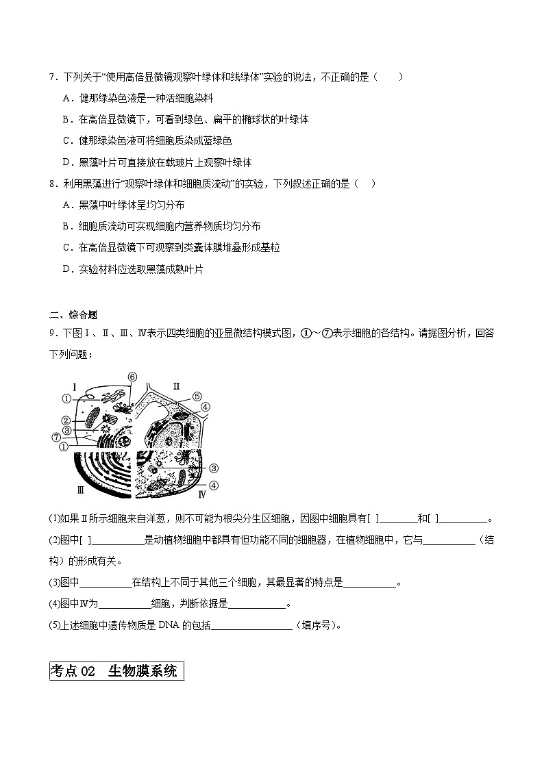 考点通关卷06 细胞器和生物膜系统-备战2024年高考生物一轮复习精品高效导与练03