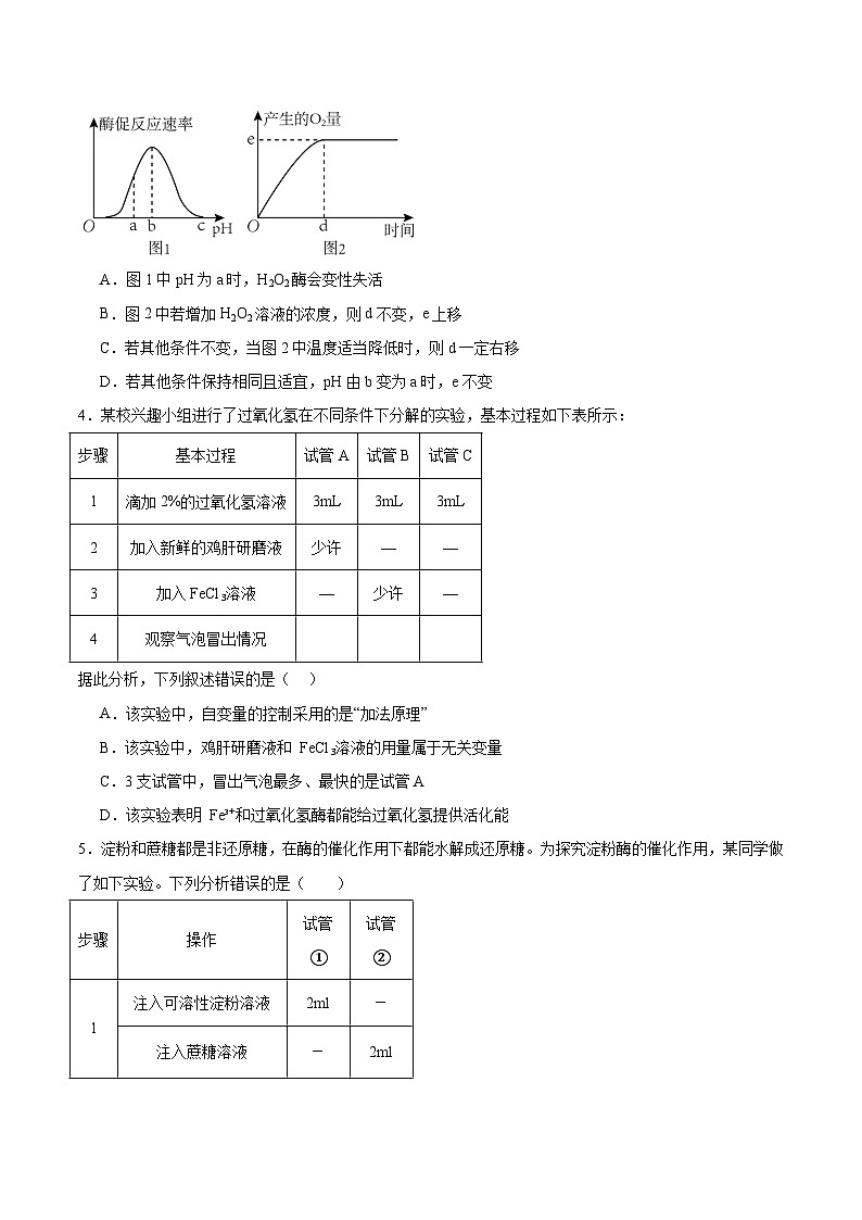 考点通关卷08 酶和ATP(原卷版)第3页