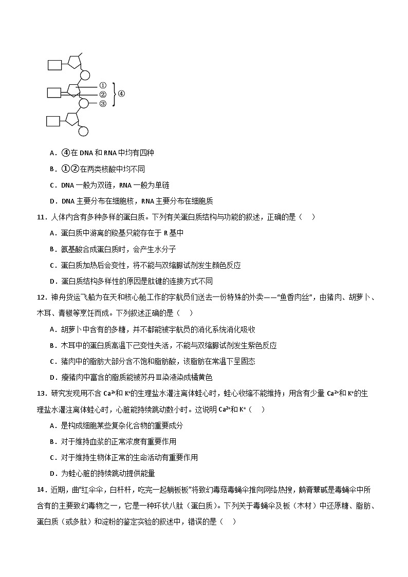 单元检测卷01 细胞的概述及其组成分子(原卷版)第3页