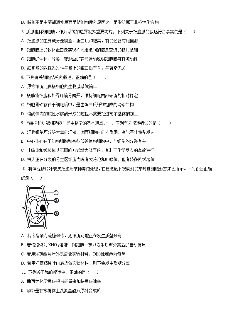 四川省宜宾市叙州区一中2023-2024学年高一1月期末生物试题无答案第2页