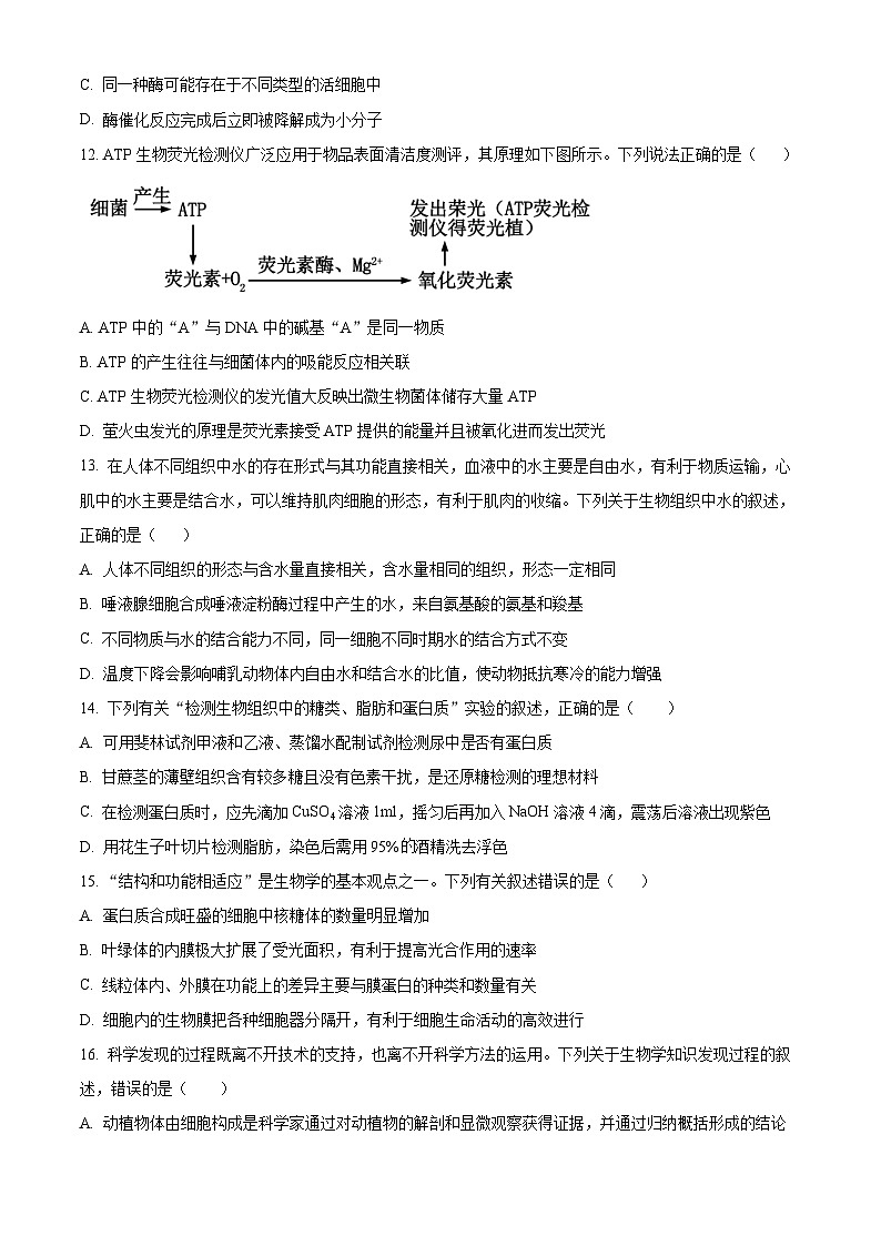 四川省宜宾市叙州区一中2023-2024学年高一1月期末生物试题无答案第3页