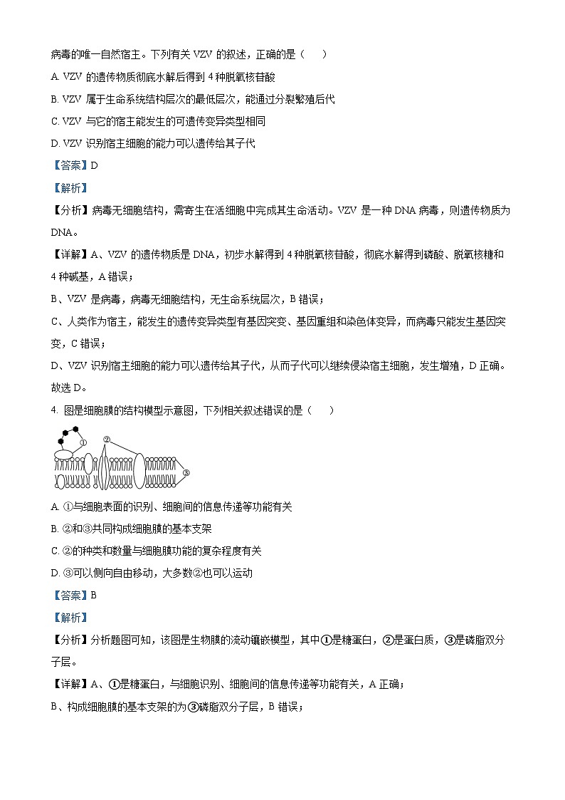 四川省宜賓市敘州區(qū)二中2023-2024學(xué)年高一1月期末生物試題含解析第2頁