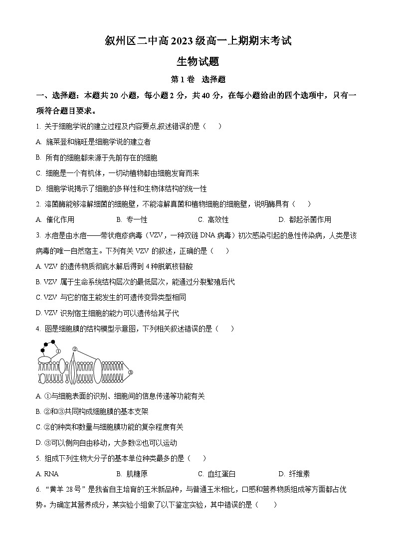 四川省宜賓市敘州區(qū)二中2023-2024學(xué)年高一1月期末生物試題無答案第1頁
