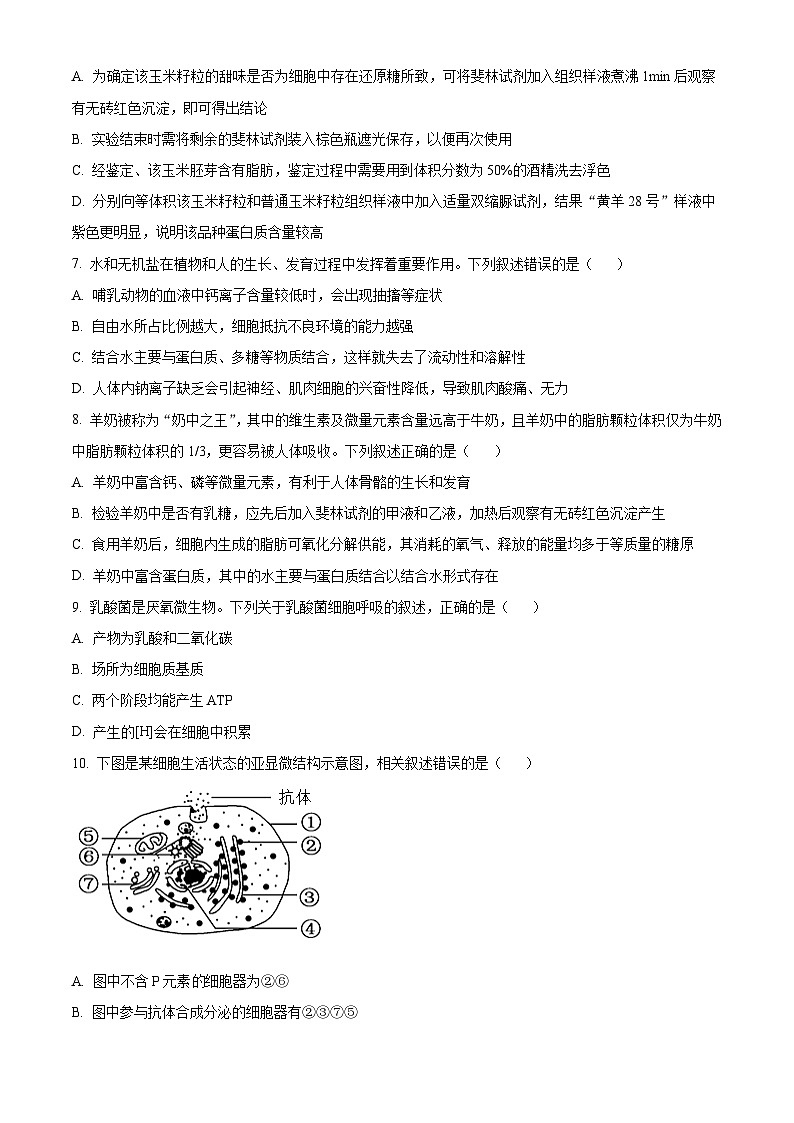 四川省宜賓市敘州區(qū)二中2023-2024學(xué)年高一1月期末生物試題無答案第2頁