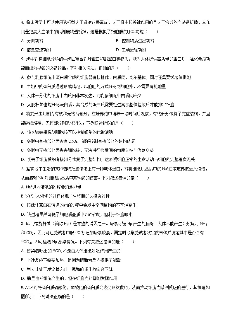 2024甘肃省高一上学期1月期末考试生物含解析第2页