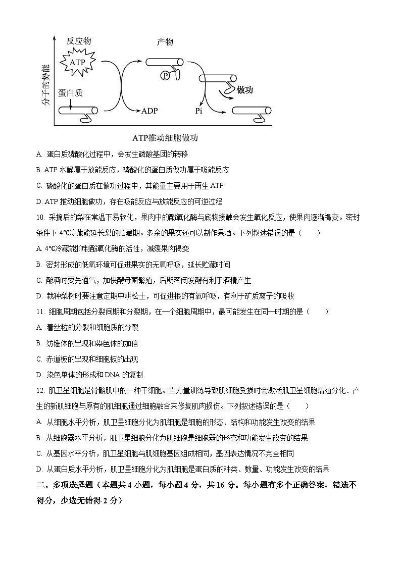 2024甘肃省高一上学期1月期末考试生物含解析第3页