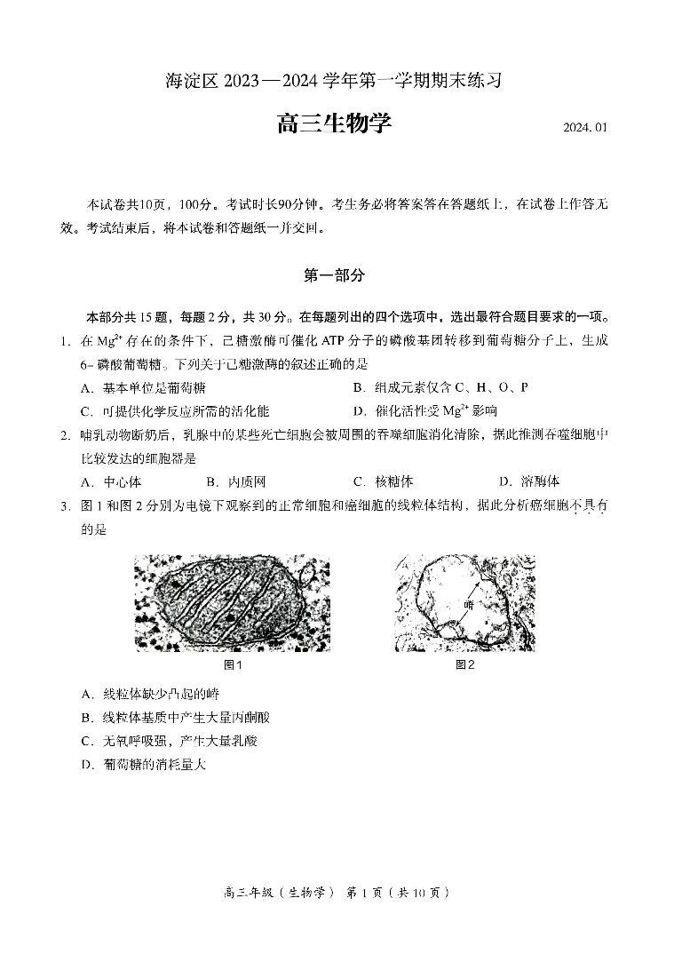 北京市海淀区2023-2024学年高三上学期期末考试生物试卷（PDF版附答案）01