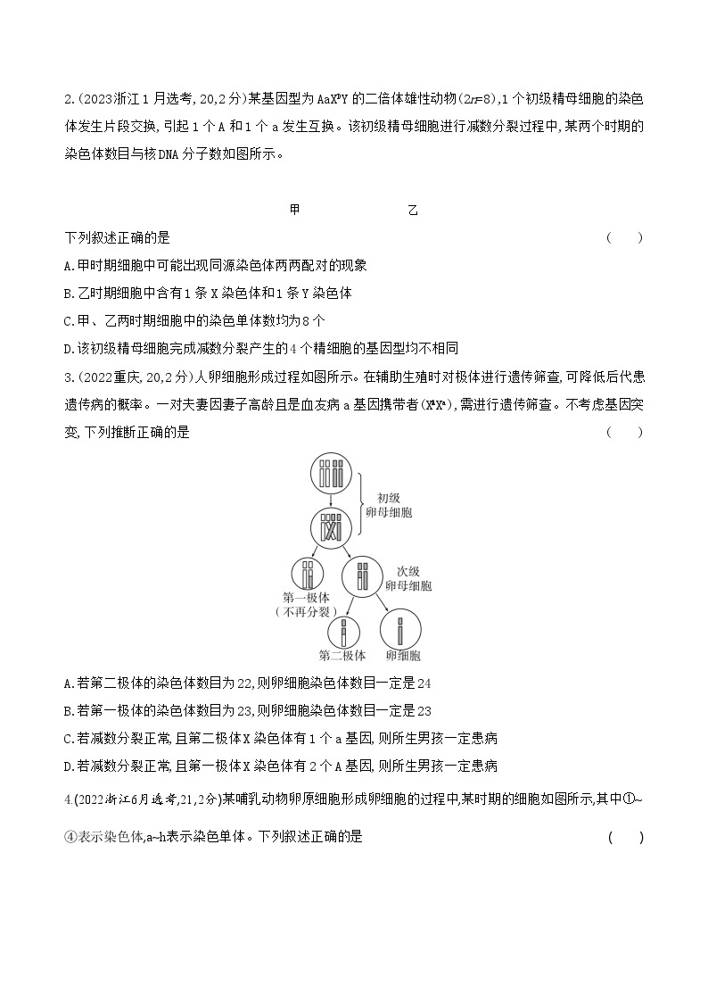 【寒假作业】人教版（2019）高中生物 高一寒假巩固专题训练 作业07 减数分裂-练习.zip03