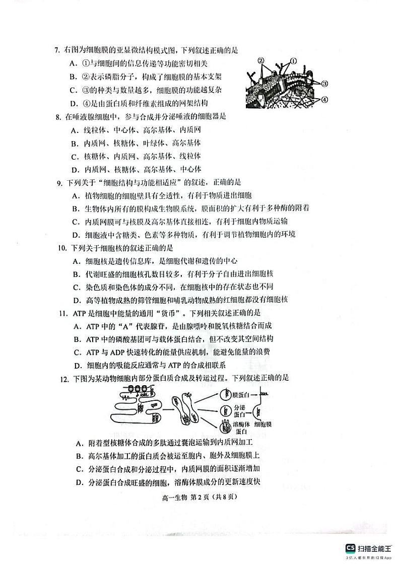 江苏省苏州市2023-2024学年高一上学期期末学业质量阳光指标调研生物试题(PDF版附答案)第2页