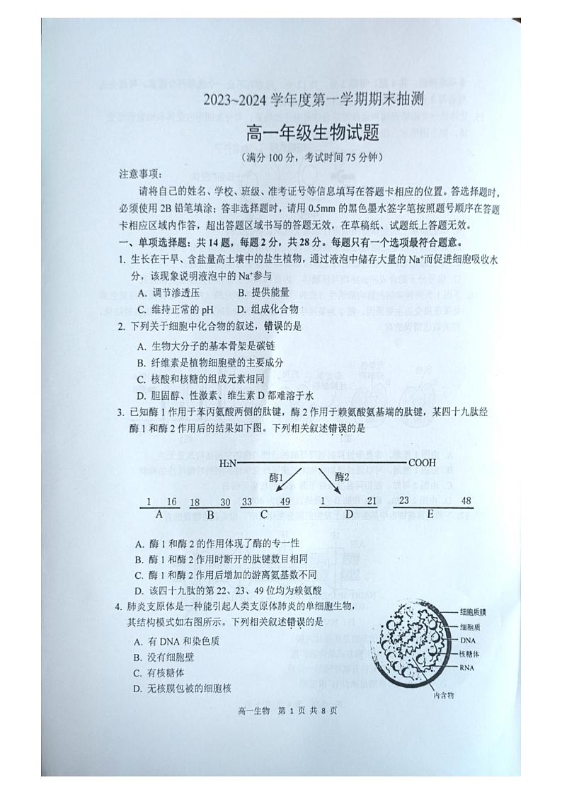 江苏省徐州市2023-2024学年高一上学期1月期末生物试题01