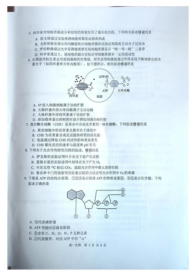 江苏省徐州市2023-2024学年高一上学期1月期末生物试题02