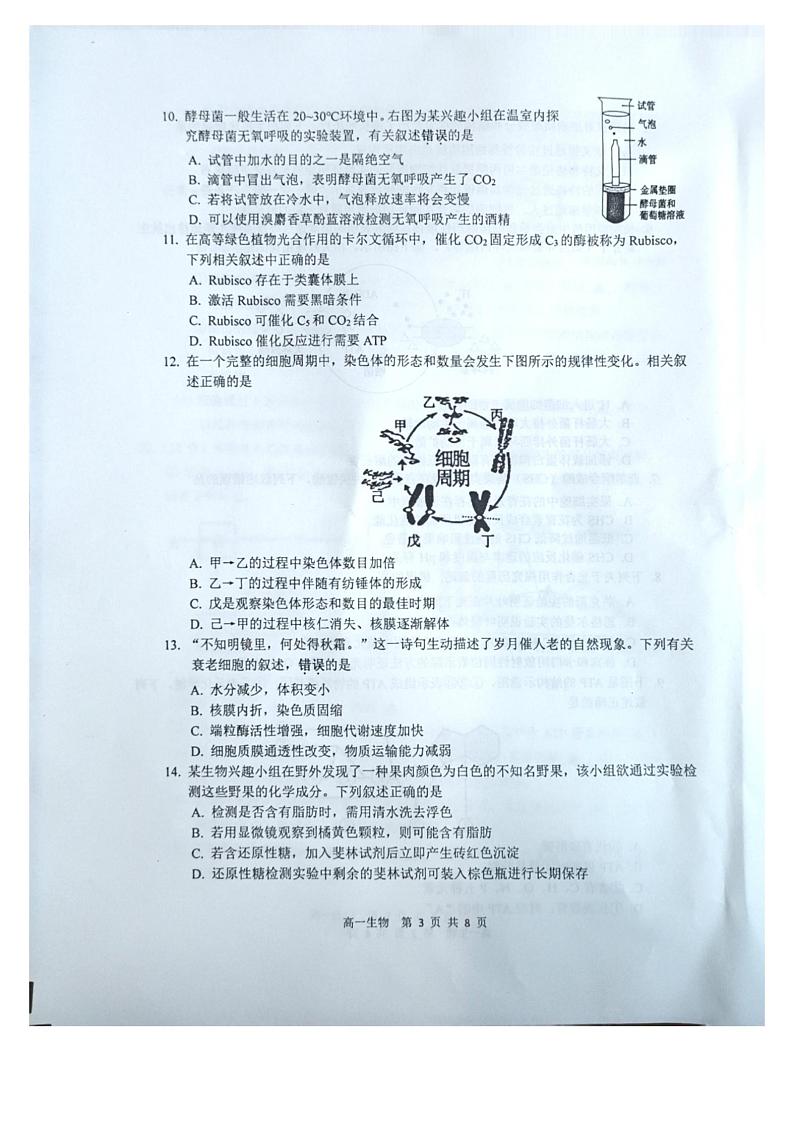 江苏省徐州市2023-2024学年高一上学期1月期末生物试题03