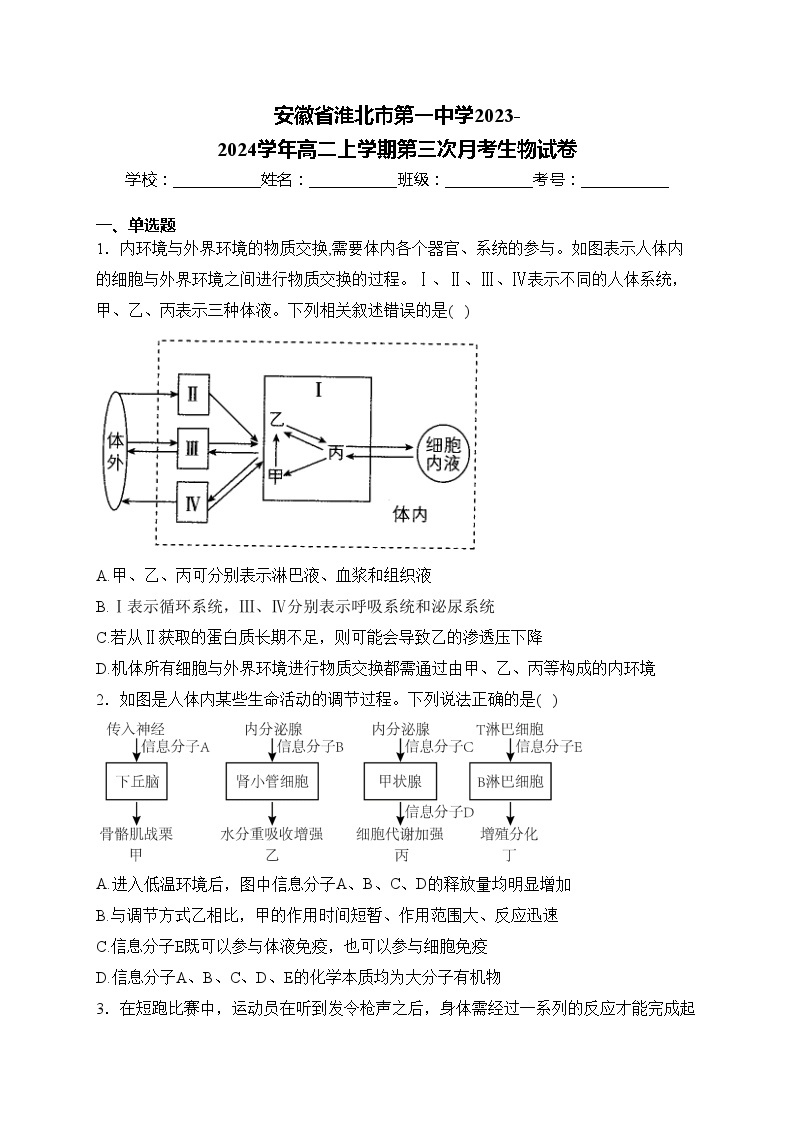 安徽省淮北市第一中学2023-2024学年高二上学期第三次月考生物试卷(含答案)01