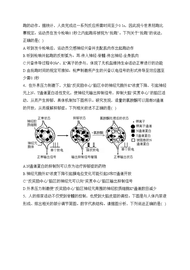 安徽省淮北市第一中学2023-2024学年高二上学期第三次月考生物试卷(含答案)02